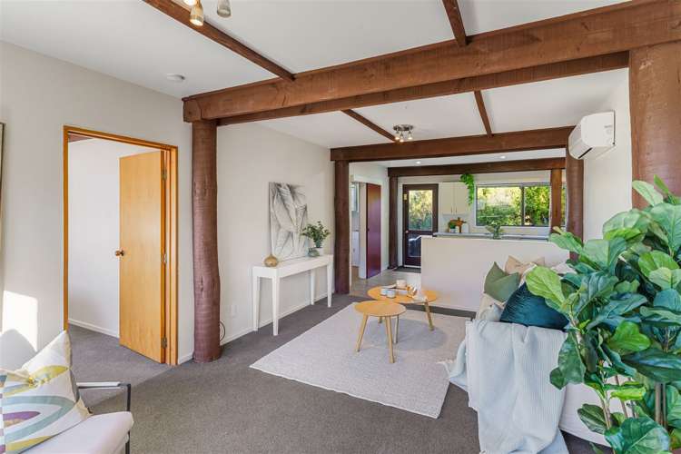 155 Major Hornbrook Road Mount Pleasant_22