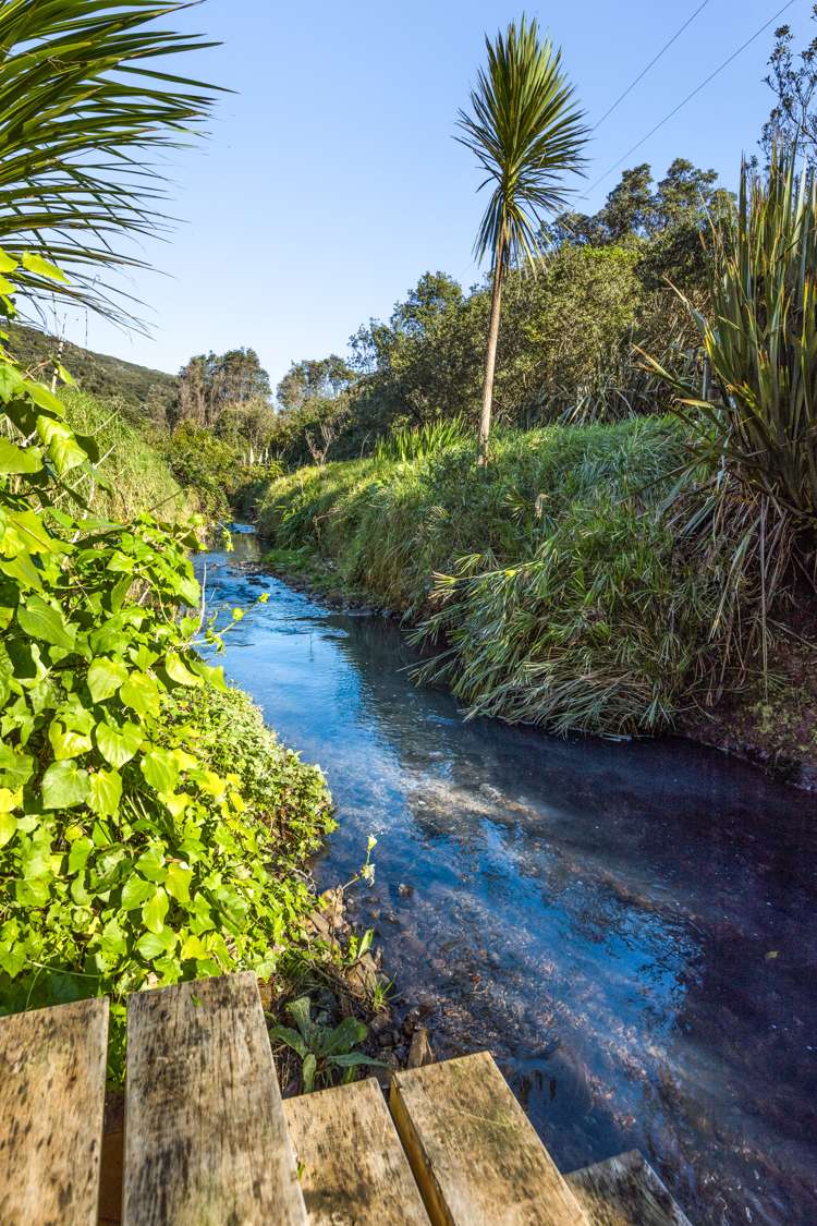 32 Karekare Road Karekare_15