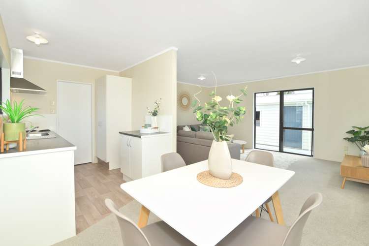 23a Carysfort Street Mount Maunganui_7