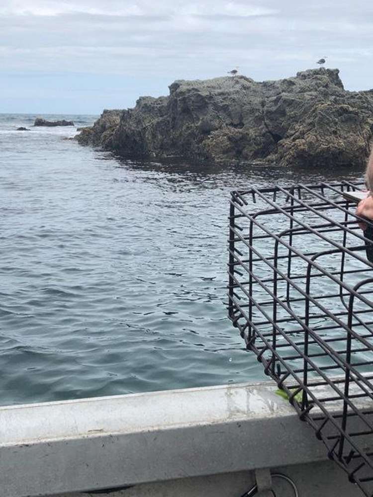 149 Te Awaiti Road Tora_24