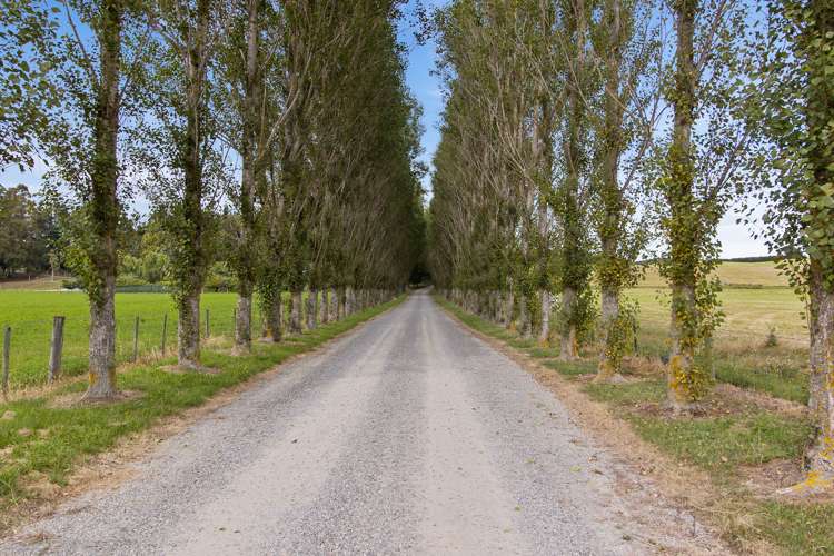 703 Pleasant Point Highway Levels_1