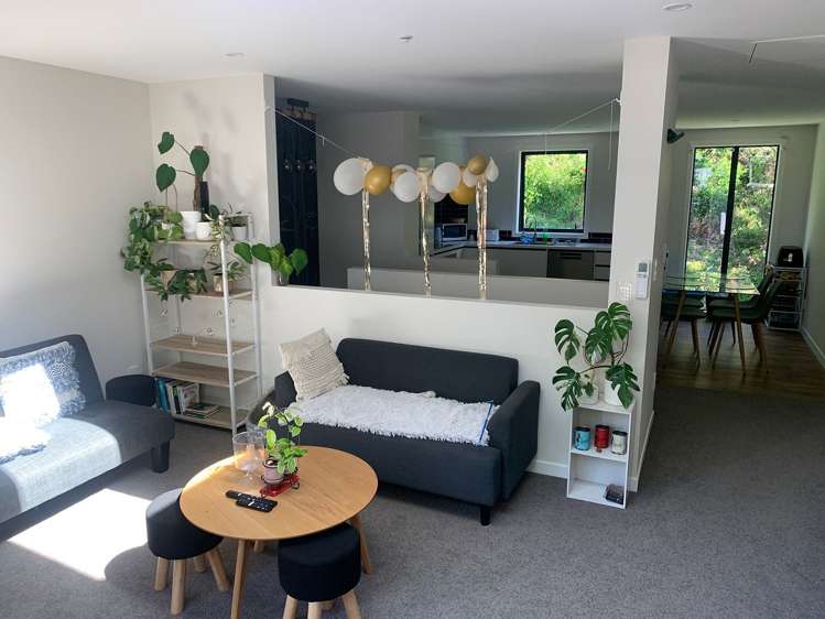 2/229 Aro Street Aro Valley_18