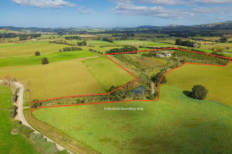 185 Sinclair Road Cheviot_34