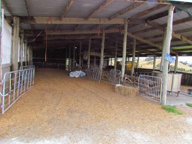 162 Roberts West Road Arapohue_10