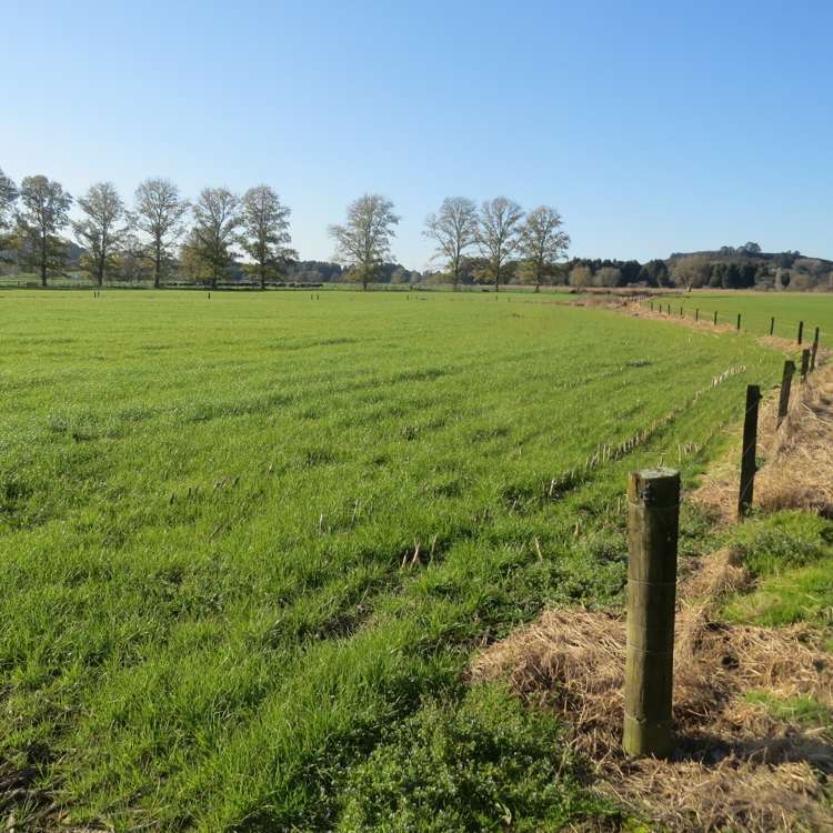 State Highway 3 Te Kuiti_11