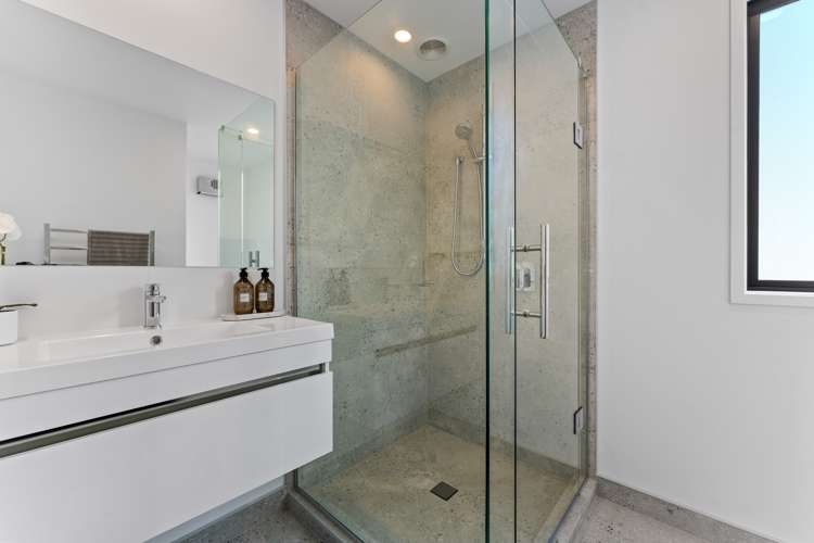 1 Ara Reti Mangere Bridge_9