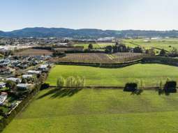 Te Puke development site for sale tipped to bear fruit for residential subdivision