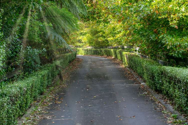 227 Heard Road Waihi_18