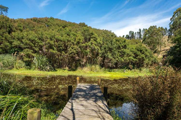 3626 Western Lake Road Ocean Beach_34