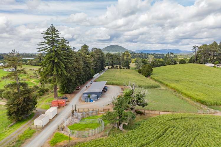 66 Kokopu Block Road Maungatapere_8