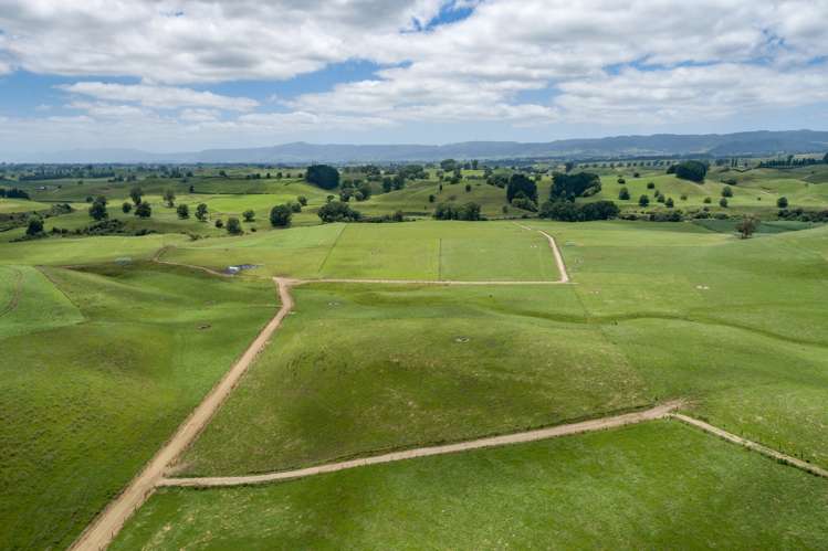 395 State Highway 5 Tapapa_15