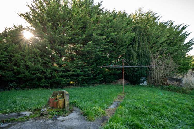 9 George Street Milton_16