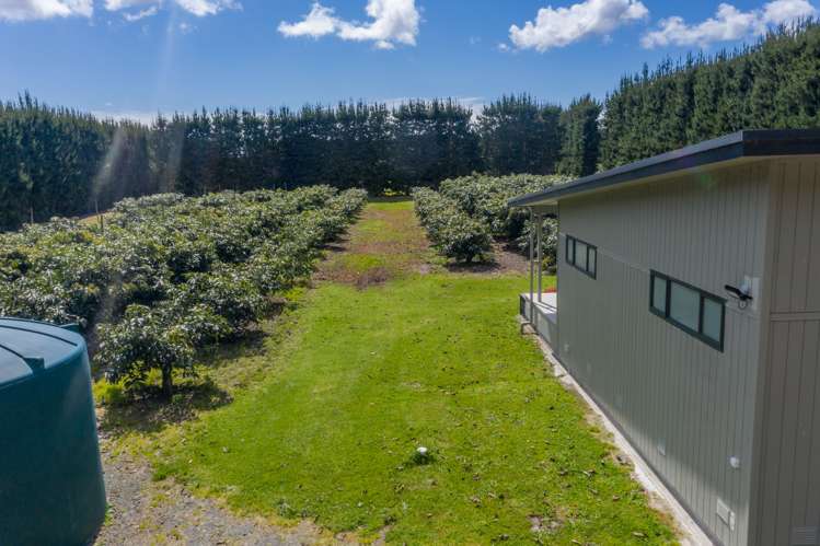 168 Heath Road Awanui_11