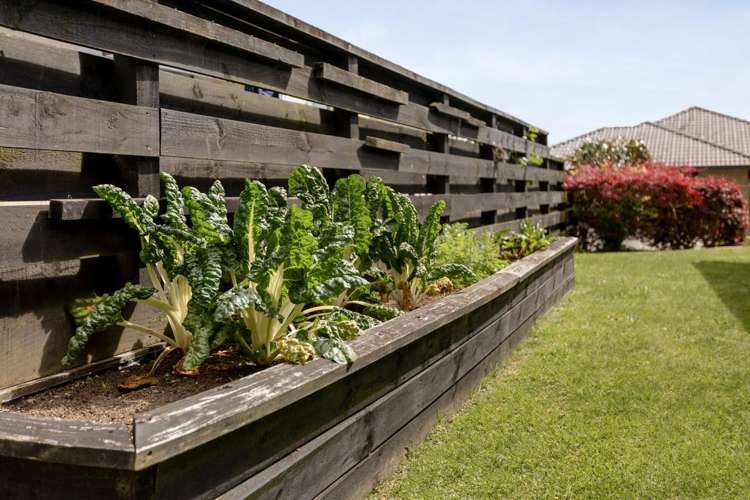 5 Vista Close Omokoroa_24