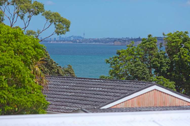 6b South Avenue Manly_10