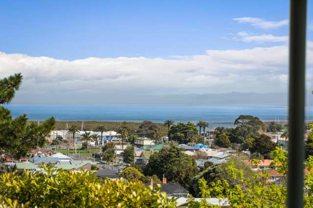 101 Oakley Crescent Thames_3