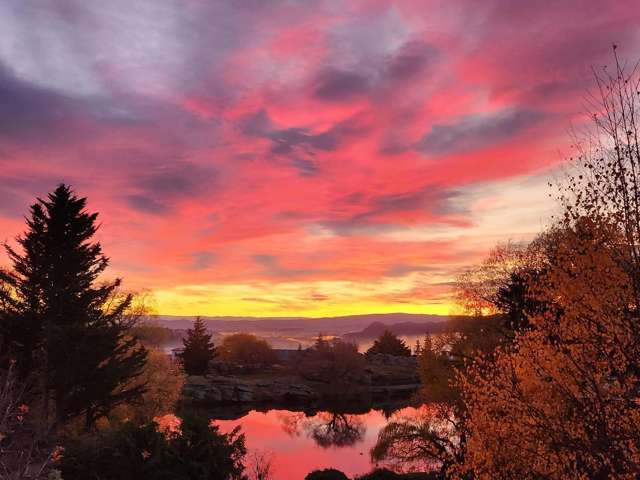 15 Lanes Road Alexandra_1