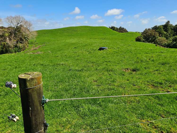 3009 Carrington Road Okato_8