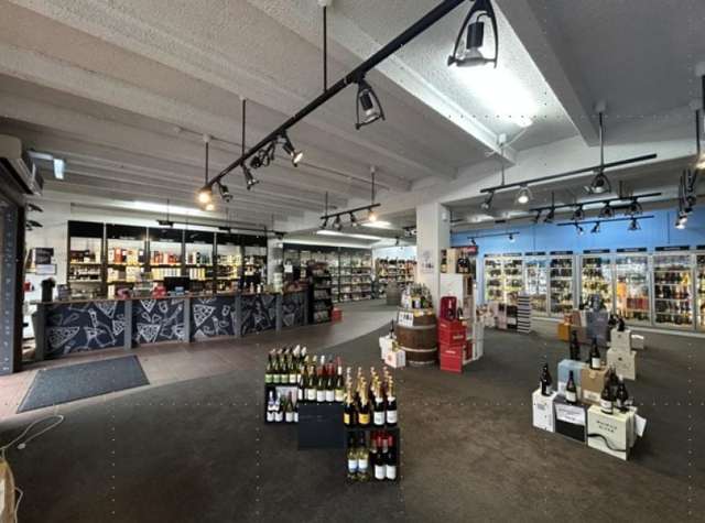 Ground/256 Dominion Road Mount Eden_4