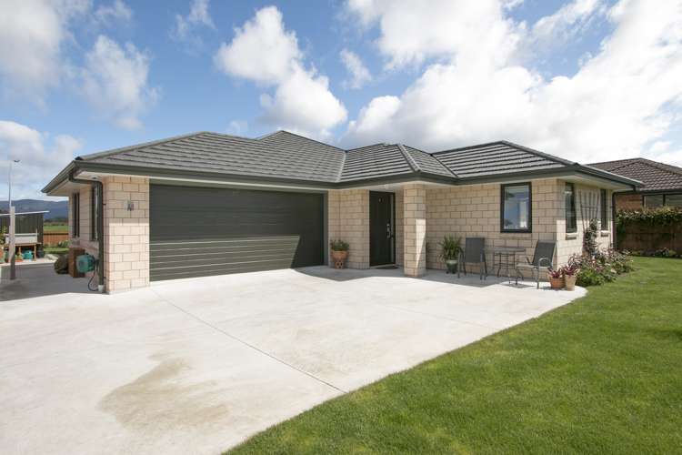 24 Preston Drive Katikati_0