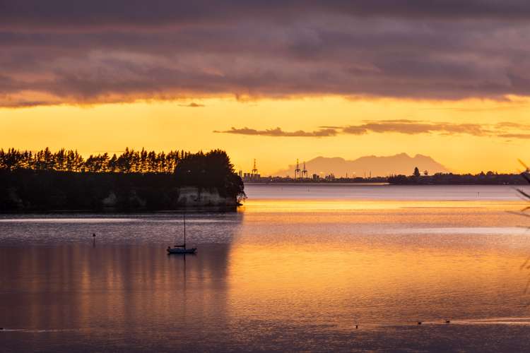 20 Tinopai Drive Omokoroa_17