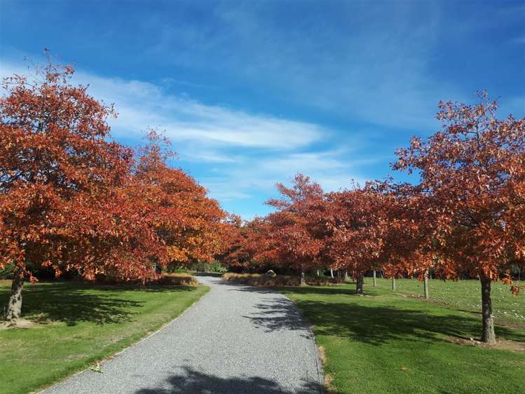 252 Trents Road Prebbleton_19