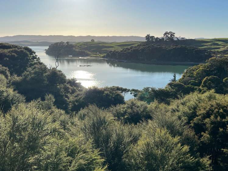 64 Greenslade Road Raglan_38