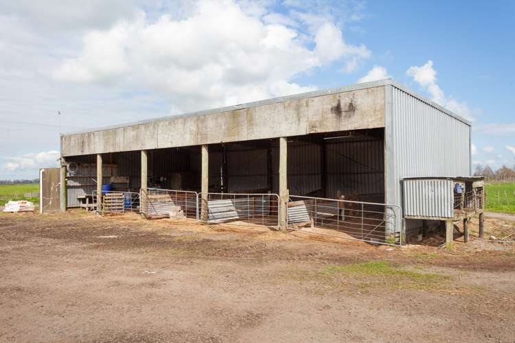 227 Endowment Road Te Aroha_11