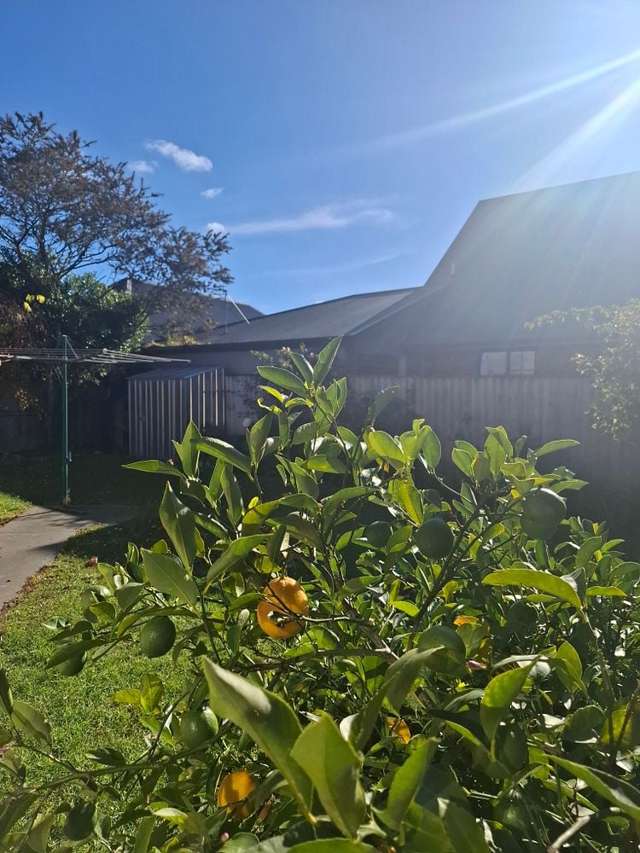 15 Hawkins Place Rangiora_4