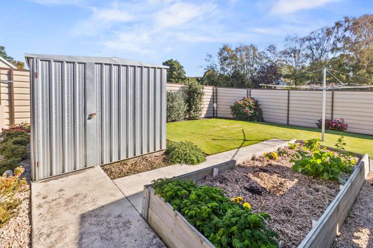 33 James Street Kensington_15