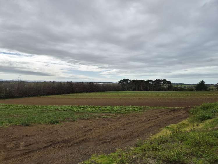 1120I Waiuku Road_2