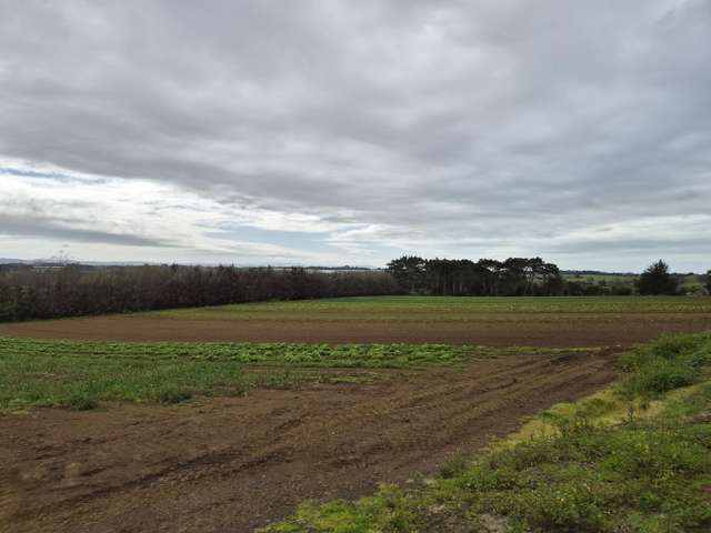 1120I Waiuku Road Waiuku_2