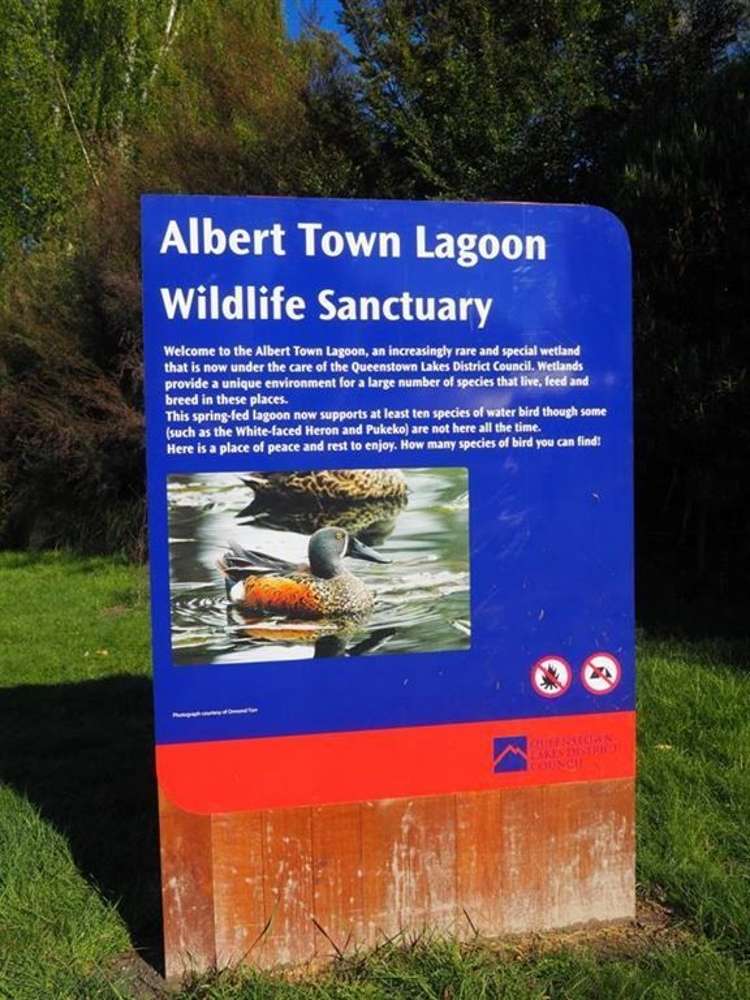 48 Lagoon Avenue Albert Town_17