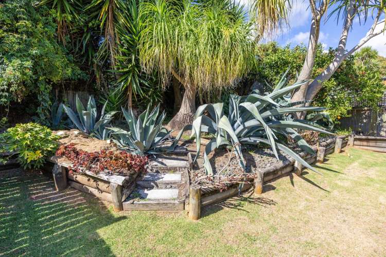 55 Seaview Terrace Mount Albert_12