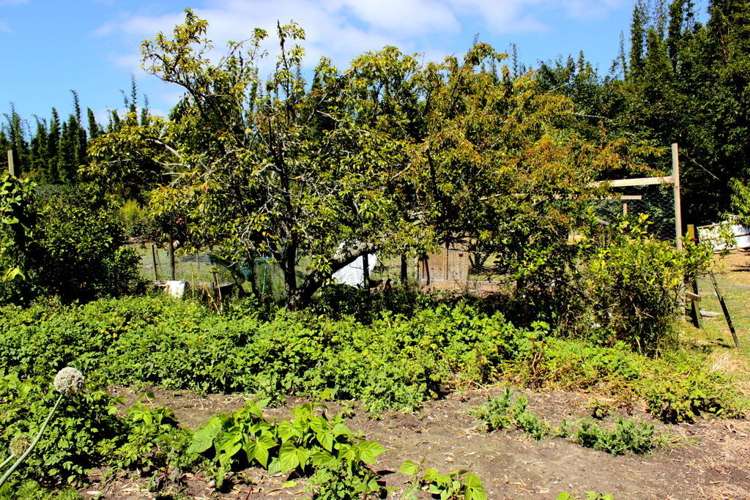 25 Dodds Road Kaitaia_10