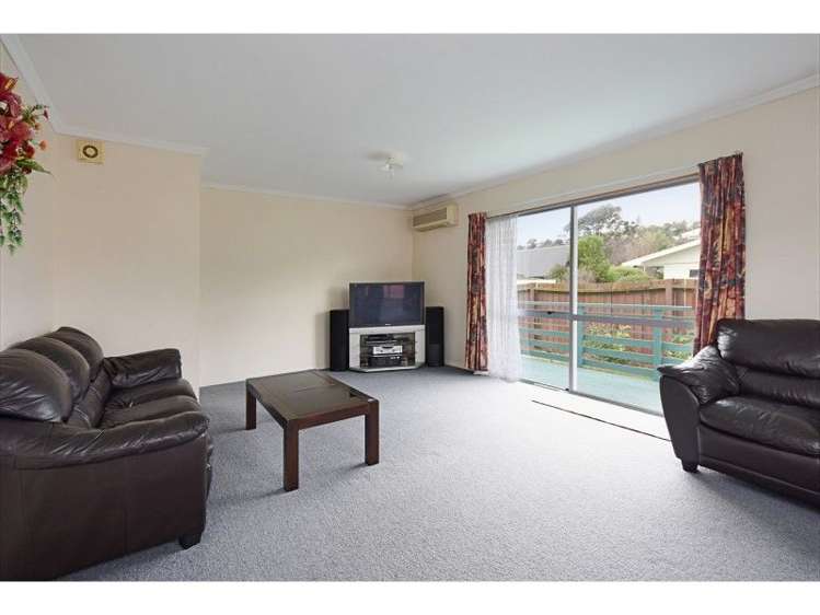 8a Rimu Street Toi Toi_6