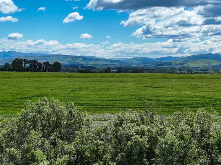 400 Mandeville Kingston Crossing Road Nine Mile_6