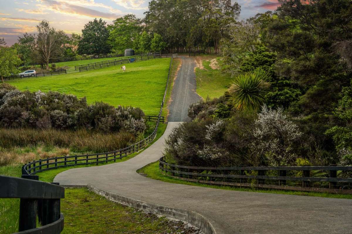 161 Waikoukou Valley Road_5