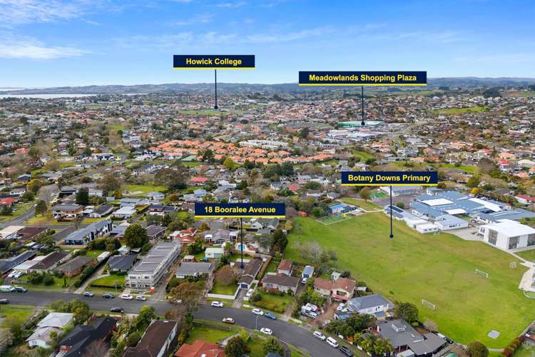 18 Booralee Avenue Botany Downs_3