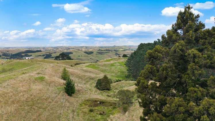 352 Kauri Road Onewhero_22