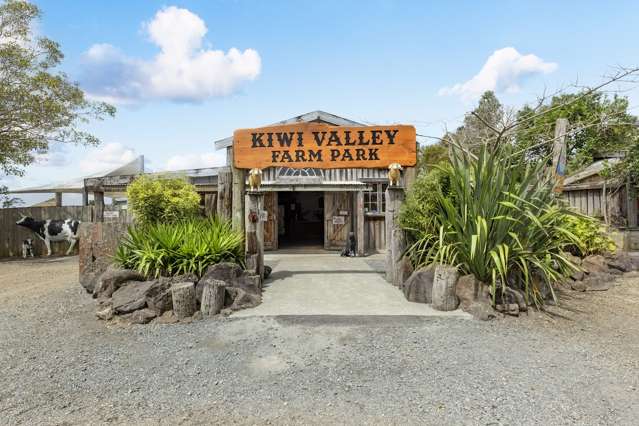 KIWI DREAM AT KIWI VALLEY: FREEHOLD GOING CONCERN