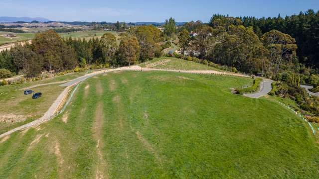 171 Dominion Road Mahana_4