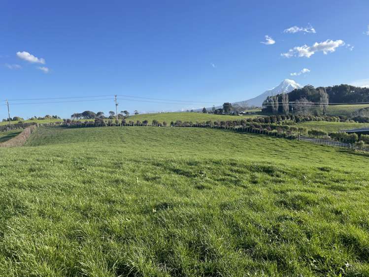 369 Tarata Road Inglewood_10