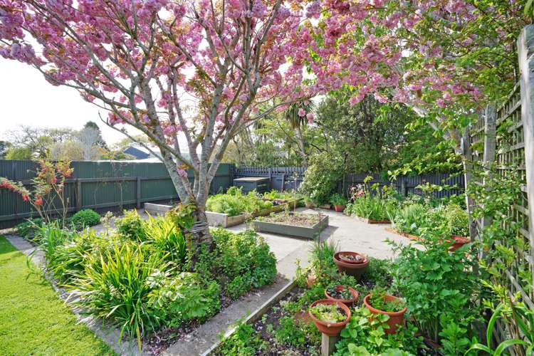 6 Delhi Street Riverton_20