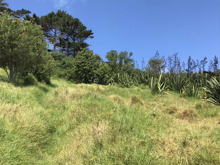 9 Jane York Place Rakino Island_7