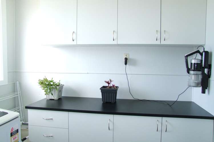 91 Ajax Street Milton_9