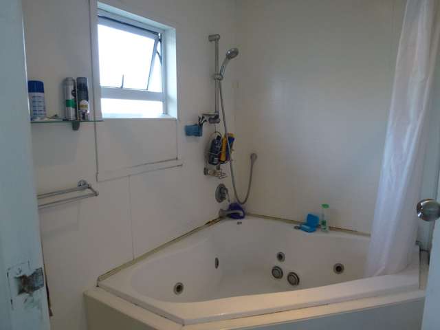 137 Studholme Street Morrinsville_4