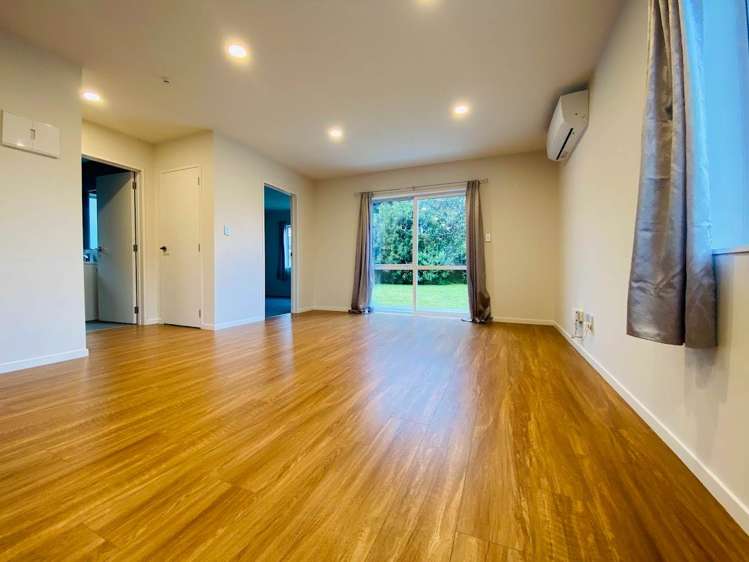 163A/Unit 2 Princes Street West Pukekohe_1