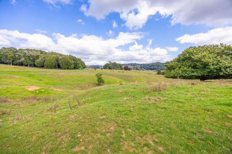 223 Maru Road Pukeatua_8