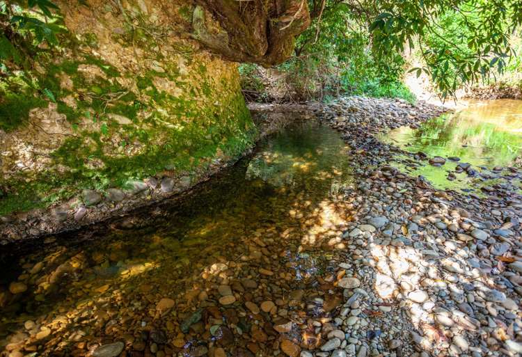 1379 Tadmor-Glenhope Road Tapawera_20